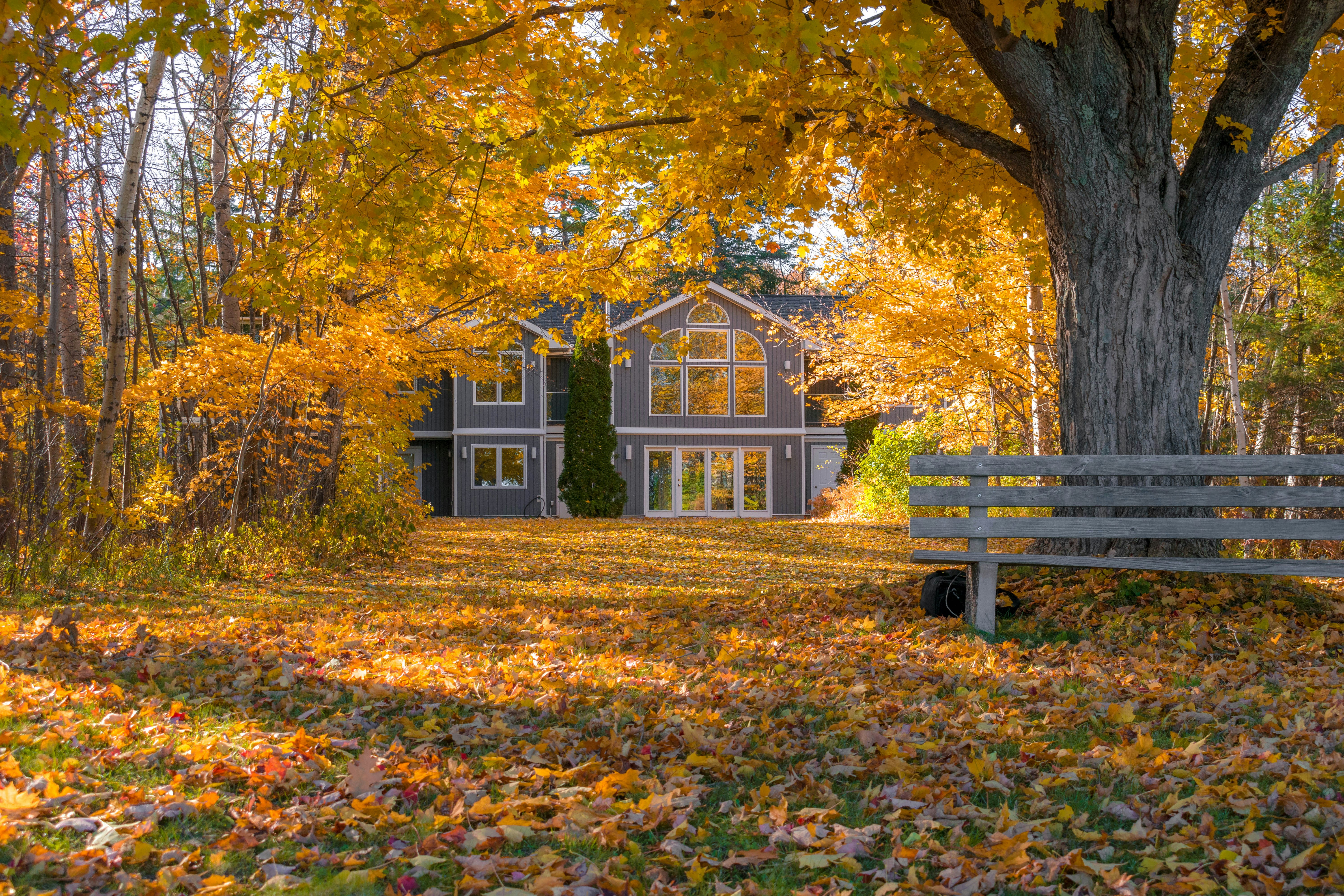 beautiful vacation home surrounded by autumn leaves
